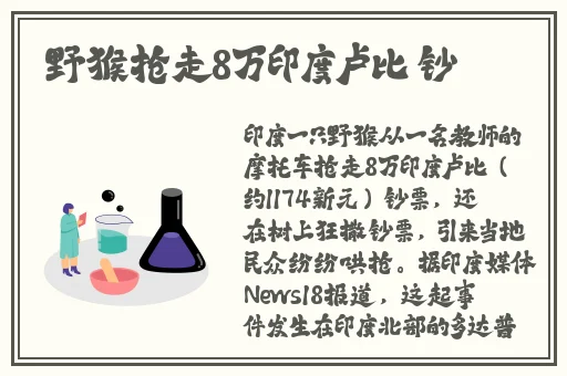 速度与激情成人hr版